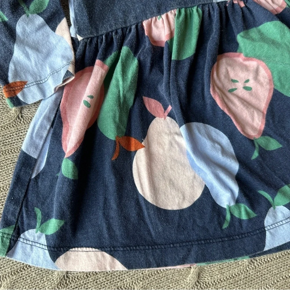 EUC Carter’s Baby Girl Outfit Set, Pink & Blue Pear, 9 Months
